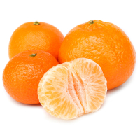 ��������� ���.