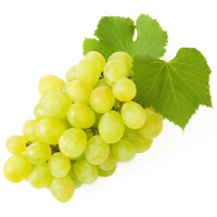 �������� ��� ������ �� ������