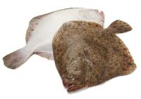 ������� �� �� ���������� ��� ���