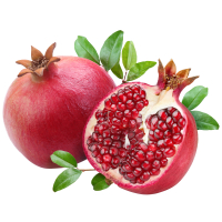 ������ ��