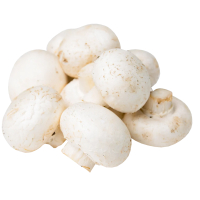 ���������, 1�� 1 ����