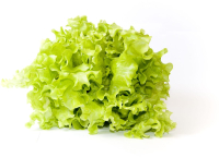 ����� �������� ����., ���