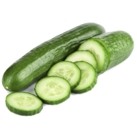 ������ 1 ��