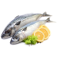 �������� ��������� 400 600 �����������