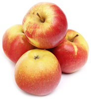 ������ ������� ��� 65 