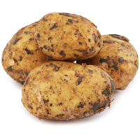 ��������� ������ ���