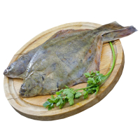 ������� �/� �/� ��� �� ��. �.�. ������ (�������������) �� ��. �.�. ������ (�������������)