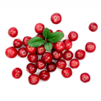 ������ ������� ������������ ���