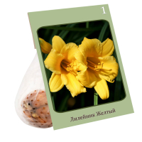 ������������ ���� (���������, �����, �����, ��������, ���������) Holland Bulb Market (�������������)