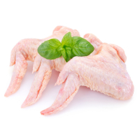 ����� �� ���. ��� ��� ��� ��������