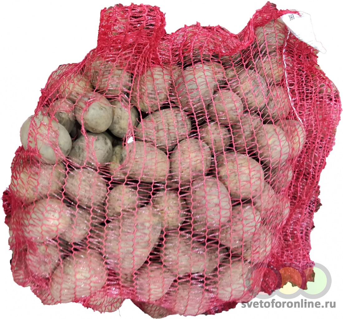 Картофель (новый урожай) фас., вес., кг Россия, ВИГА ООО Купить в магазине  СВЕТОФОР город Иваново, ул. 1-я Межевая, д. 8б
