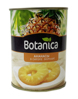     580  BOTANICA, 