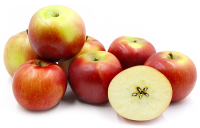 ������ ���������� 80 1 �� ���