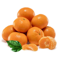 ��������� 1 ��