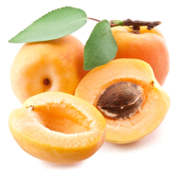 ������� ������� ������� ���� ��� (�������������)