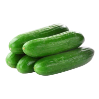 ������ �������.��� �����