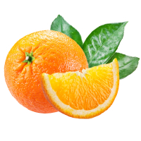 �������� ������ ���.�� �����