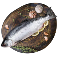 ����� ��� ���������� ��� (�������������)