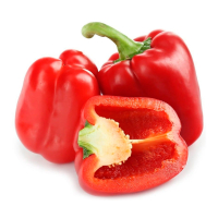 ����� ���������� ����. ���. �� �����