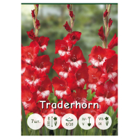 �������� ��������� 7 ��/��, ����� 3 ��/��., ��������������� 7 �./��