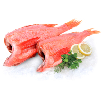 ����� ������� 150 300 ���������� ��� (�������������)