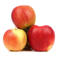 ������ ����� ����. ���. 1 ��. �����