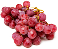 �������� ������� ���