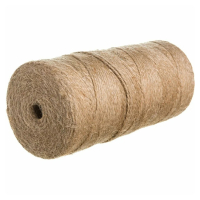 ������ ���� 300 �