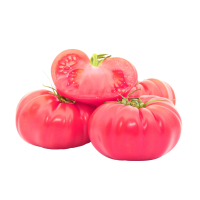 ����� ������� 1 ��