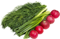 ����� �/������� 200��