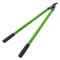 �������� ������� ���� 60 �� �������� ��� (�������������)