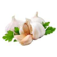 ������� ���, 1��