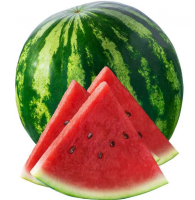 ������ ������.��� �����