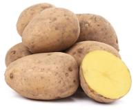 ���������, ��