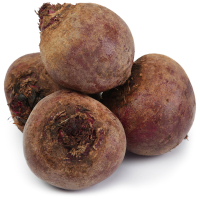 ������ ������ 1 ��