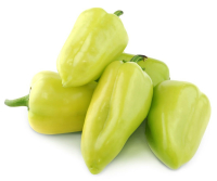 ����� ������ ���