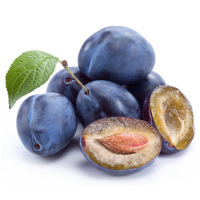 ����� ������ ��� 1 ��